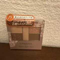 廃盤 CANMAKE パーフェクトスタイリストアイズ 19 ③