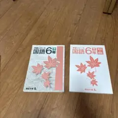 四谷大塚　予習シリーズ　6年生　下　11冊全セット