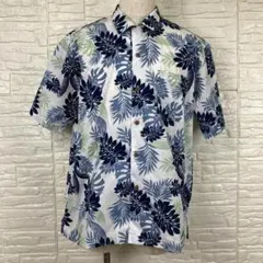 Item thumbnail for item d6b712ce-3eb1-480b-9fbe-b16d2af72277