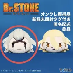 Dr.STONE　フェイスクッション　ゼノ＆スタンリー　計２点 2個セット】Dr.STONE フェイスクッション ゼノ&スタンリー - メルカリ