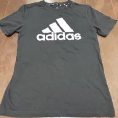 Item thumbnail for item 81e1bd30-8f04-42a1-be3c-6e734906a999