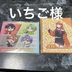 ////いちご様//// からぴち　マグネット2枚