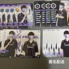 IJLカード FL Sasori 15枚カードセット