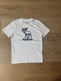 新品150㎝アバクロンビーAbercrombieBoysTシャツノースフェイスのサムネイル