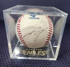 2026年最新】npb 実使用の人気アイテム - メルカリ