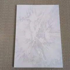 シン・エヴァンゲリオン劇場版 パンフレット