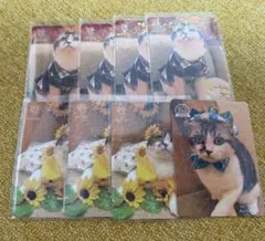 猫カフェMOCHAトレカ　こぶし