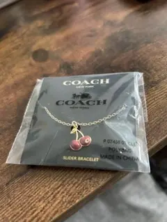 COACH チェリー モチーフ ネックレスのサムネイル