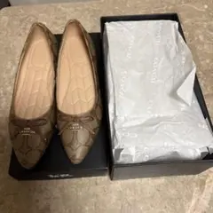 Item thumbnail for item 5a893178-d92b-4bca-9cec-4695a43a0bb2