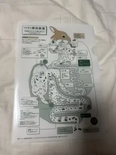 Item thumbnail for item 4118494c-2437-483f-b361-4299335353f7