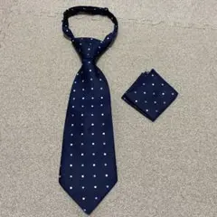 Item thumbnail for item e0e8e7e6-79ba-4a2b-8ba2-2c50d09ae3fb