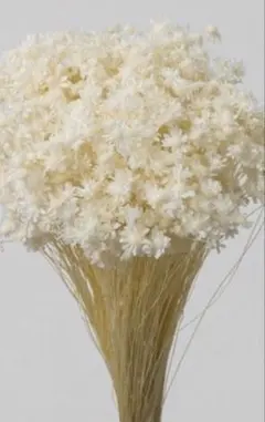 あぴ様 リクエスト 2点 まとめ商品