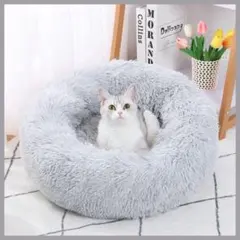 Item thumbnail for item 3025b22b-a51c-455d-8293-89eeddd186af