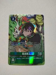 2026年最新】風真照人 パラレルの人気アイテム - メルカリ