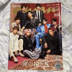 anan No.2340 SnowMan