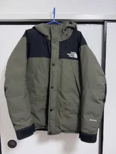 THE NORTH FACE GORE-TEX マウンテンダウンジャケット L