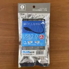 Item thumbnail for item 27031a8a-0619-43fe-b61c-d2f2e82c3993