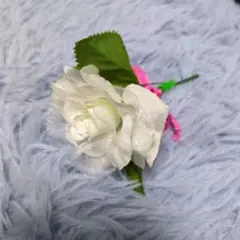 Item thumbnail for item bd6eb7c2-119d-4ba8-b241-9f14e5992309