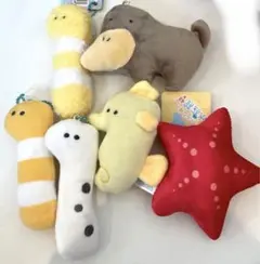 海の仲間達　つぶらな瞳シリーズなど　水族館