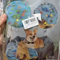 Item thumbnail for item 71d078df-1bd9-4c5d-b1f6-45d06baec6c3