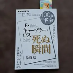 E・キューブラー・ロス 『死ぬ瞬間』100分de名著 2025年12月 島薗進