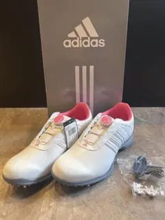 Item thumbnail for item a71299be-6068-49d1-9a8b-117c7391d1f8