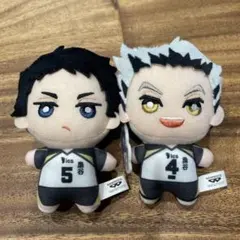 ハイキュー　ちみっともぬい　ぬいぐるみ　木兎光太郎　赤葦京治