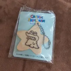 クレヨンしんちゃん　ワニ山