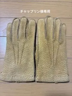 Item thumbnail for item ef4ecff7-041d-4b32-85cf-131b3af0b86f