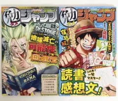 最強ジャンプ 付録 勉タメジャンプ ワンピース ドクターストーン 2冊セット