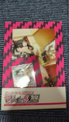 開封品 ソード&シールド トレーナーカードコレクション マリィの練習