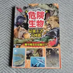 Item thumbnail for item 91b1b79e-d73b-45d4-b48b-cc1b4f950961