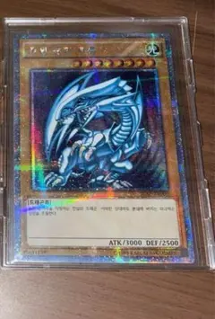 遊戯王 - 【極美品】青眼　ブルーアイズ  ブラックマジシャン　韓国　プリズマ　２枚セット 韓国語版〕青眼の白龍、ブラックマジシャン【プリズマティック