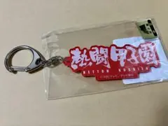 熱闘甲子園 キーホルダー