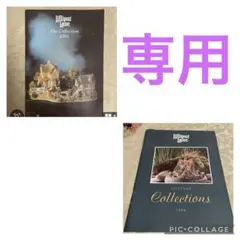 チワヲ様専用❗️リリパットレーンカタログ2冊