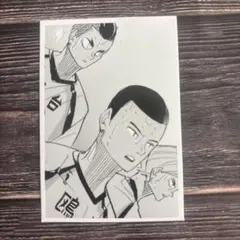 2026年最新】ハイキュー思い出スナップフォトカードの人気アイテム