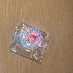 【超レア】くら寿司　SPY×FAMILY　リース風チャーム　アーニャ