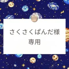 さくさくぱんだ様専用【コップ袋/ランチョンマット】