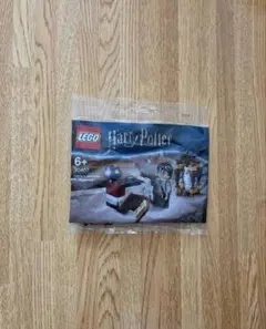 LEGO ハリーポッター 30407
