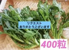 わん⭐︎様 リクエスト 3点 まとめ商品