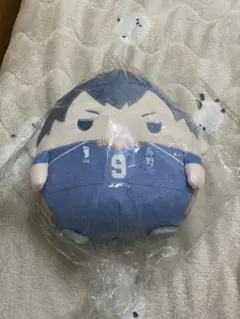 ハイキュー 日向翔陽くじメイト ぬいくじ A賞 ふわコロりん メガ