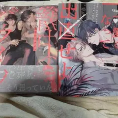 商業 BL 新刊 含 組み換え可能　籠中のパライソ