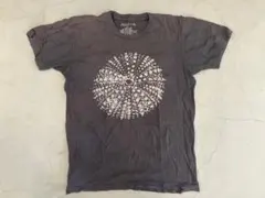 mollusk モラスク　tシャツ　スミクロ　USA USEDビンテージ 古着のサムネイル