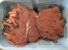 2026年最新】刺し網三枚網の人気アイテム - メルカリ