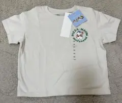 Item thumbnail for item fb584371-f95f-4d4d-9366-fcf01bdbea28