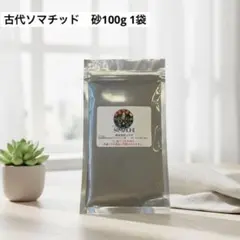 Item thumbnail for item 85a6718d-58bd-4f4d-a68d-f5c660c8ca89