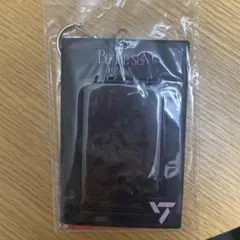 seventeen be the sun トレカケース