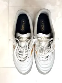Mizuno Morelia MIZUNO(ミズノ) モレリア SALA PRO