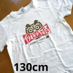 キッズTシャツ 130 イリオモテヤマネコ 西表島