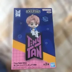TinyTAN DNA モニタートップフィギュア RM 箱なし発送